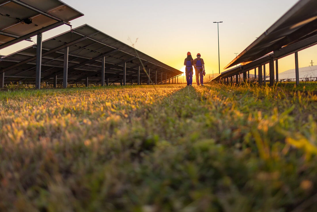 Sustainability matters despite signs of flagging momentum