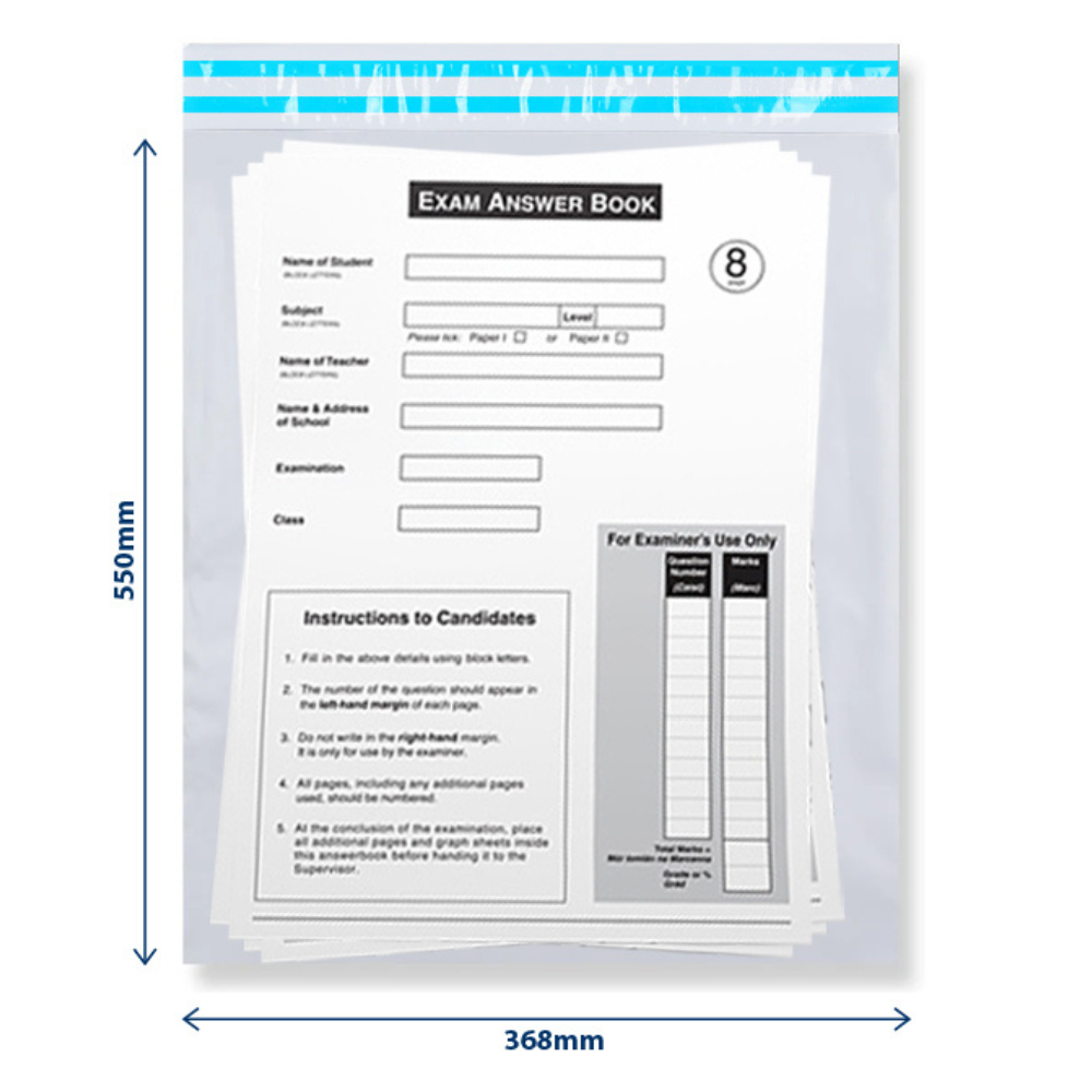 Tamper Evident Security Bag